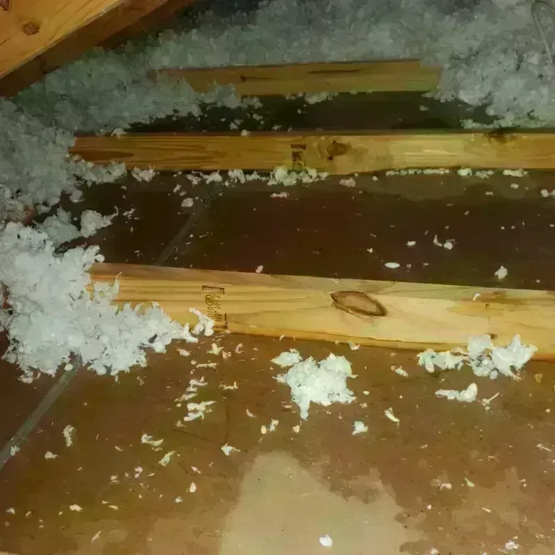 Attic Water Damage in Barker Heights, NC